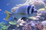008-IMG_0964.JPG.small.jpeg