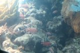012-IMG_0986.JPG.small.jpeg