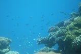 014-IMG_0989.JPG.small.jpeg