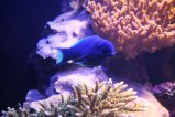 015-IMG_0990.JPG.small.jpeg