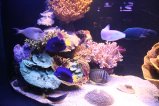 016-IMG_0991.JPG.small.jpeg
