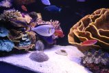 017-IMG_0992.JPG.small.jpeg