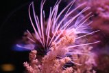 018-IMG_0994.JPG.small.jpeg