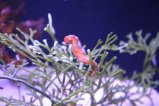 019-IMG_0996.JPG.small.jpeg