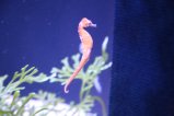 021-IMG_0998.JPG.small.jpeg