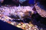 022-IMG_1000.JPG.small.jpeg