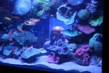 023-IMG_1002.JPG.small.jpeg