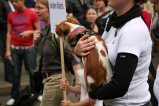 084-IMG_1236.JPG.small.jpeg