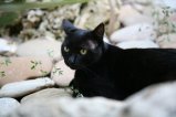 008-IMG_1333.JPG.small.jpeg
