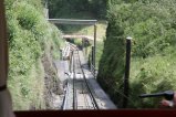 043-IMG_1443.JPG.small.jpeg