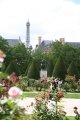 011-IMG_1525.JPG.small.jpeg