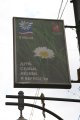 011-IMG_1574.JPG.small.jpeg