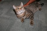 017-IMG_1588.JPG.small.jpeg
