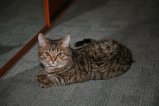 018-IMG_1590.JPG.small.jpeg