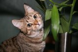 019-IMG_1591.JPG.small.jpeg