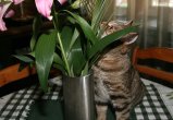 020-IMG_1592_e.JPG.small.jpeg