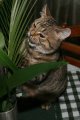 021-IMG_1593_e.JPG.small.jpeg