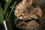 022-IMG_1594.JPG.small.jpeg