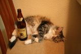 025-IMG_1637.JPG.small.jpeg