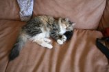 029-IMG_2075.JPG.small.jpeg