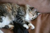 030-IMG_2076.JPG.small.jpeg