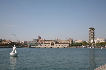 001-IMG_2542.JPG.medium.jpeg