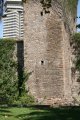 008-IMG_2551.JPG.small.jpeg