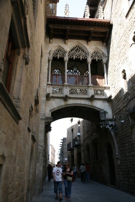 017-IMG_2562.JPG.medium.jpeg