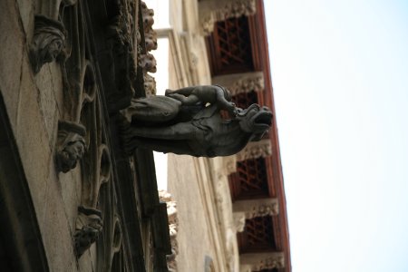 018-IMG_2566.JPG.medium.jpeg