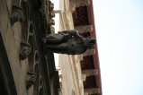 018-IMG_2566.JPG.small.jpeg