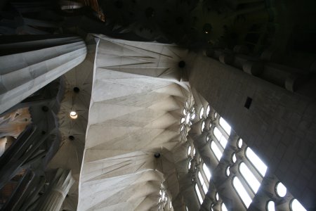 112-IMG_2711.JPG.medium.jpeg