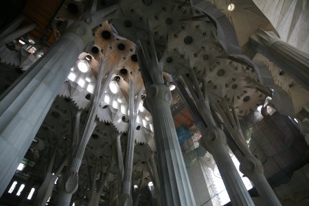 114-IMG_2713.JPG.medium.jpeg