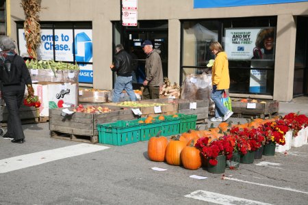 006-IMG_2818.JPG.medium.jpeg