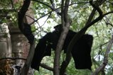 008-IMG_2824.JPG.small.jpeg
