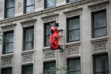 013-IMG_2838.JPG.small.jpeg