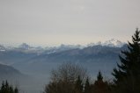 001-IMG_2905.JPG.small.jpeg
