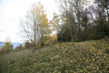 005-IMG_2917.JPG.small.jpeg