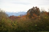 007-IMG_2920.JPG.small.jpeg
