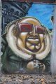 010-IMG_2926.JPG.small.jpeg