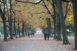 014-IMG_2932.JPG.small.jpeg