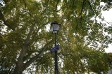016-IMG_2936.JPG.small.jpeg