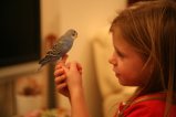 001-IMG_2941.JPG.small.jpeg