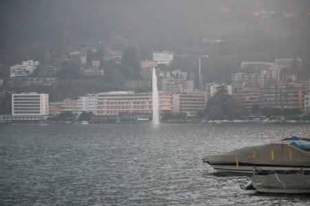 000-IMG_2994.JPG.medium.jpeg