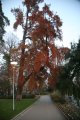 007-IMG_3013.JPG.small.jpeg