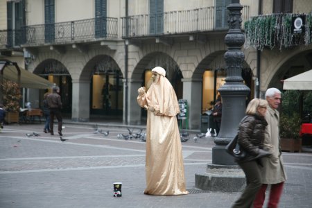 017-IMG_3038.JPG.medium.jpeg