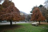 028-IMG_3053.JPG.small.jpeg