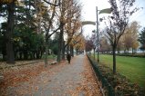 029-IMG_3054.JPG.small.jpeg