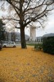 030-IMG_3055.JPG.small.jpeg