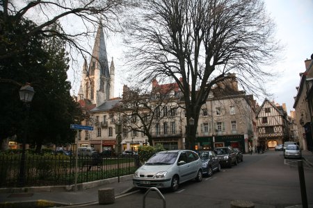 009-IMG_3096.JPG.medium.jpeg