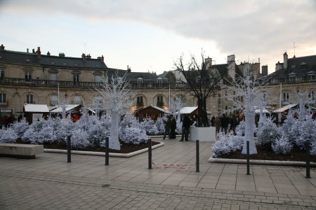 011-IMG_3100.JPG.medium.jpeg